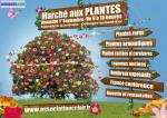 Marche aux plantes - Miniature