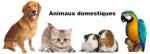 Garde votre animal de compagnie - Miniature