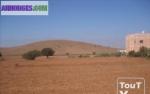 Terrain de 5640m2 au village de chtouka ait baha... - Miniature
