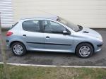 Peugeot 206 - Miniature