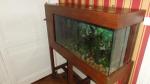 A saisir – vends aquarium 200 litres et meuble acajou - Miniature