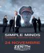 Une place pour le concert de simple minds cat1 - Miniature