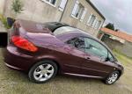 Peugeot 307 cc sport - Miniature