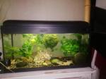 Aquarium avec 2 pompes de filtration - Miniature