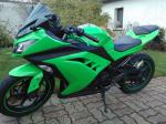 Kawasaki ninja 300 - Miniature