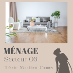 Aide ménage - secteur 06 - Miniature