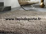 Tapis de maison - porte - passage - propreté - jeu - Miniature