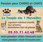 Pension pour chiens et chats en haute-vienne limousin 87 - Miniature