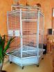 Cause cession perroquet, vends grande cage d’angle villa... - Miniature