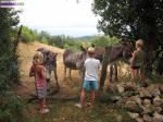 Gites à la ferme - Miniature