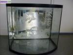 Vend aquarium 25l - Miniature