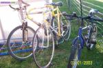 Vélos - Miniature